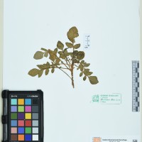 200084_OCH 5122 CIP 760948.JPG