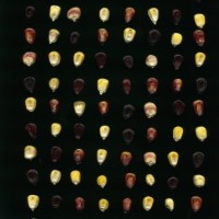 CIMMYTMA 12322 LIB 93 TC22U-2903-29 K.jpg