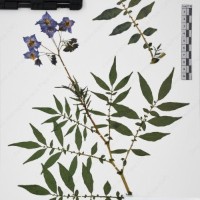 CIP 765690_RPSP 001_14.jpg