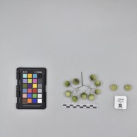 CIP765700_RPSP 012_B.JPG