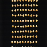 CIMMYTMA 5823 CUBA 13 AF21A 0903 131 K1560 _compress.jpg