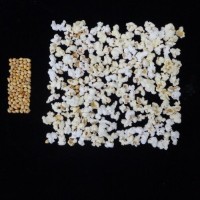 Popped and not popped comparison.jpg