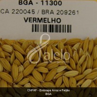 BRA00008635-5.JPG