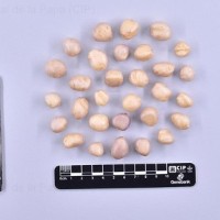 CIP 766059_VIR 03540_dms_T.jpg