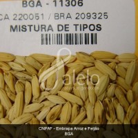 BRA00008641-3.JPG
