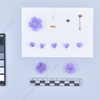 CIP 761055_OCHS 11914_mga_F_2024.jpg