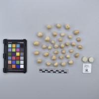 CIP760471_HHA 6662_T.JPG