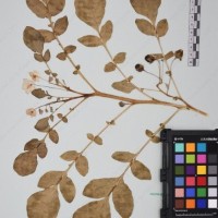 CIP 760010_OCH S21_02.jpg