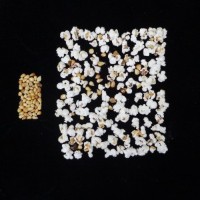 Popped and not popped comparison.jpg