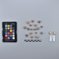 CIP765730_RPSP 045_T.JPG