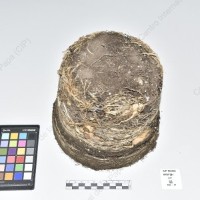 CIP 765762_RPSP 084_yun_Tb_2024.jpg