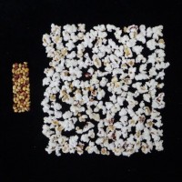 Popped and not popped comparison.jpg