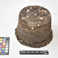 CIP 760681_OKA 3812_opl_Tb(t).jpg