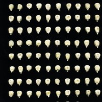 CIMMYTMA 8571 MEXI 577 BA23U-2903-33 K.jpg