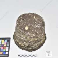 CIP 761398_OCH 12025_mcd var mon_Tb_2024.jpg