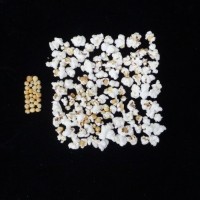 Popped and not popped comparison.jpg