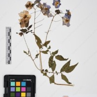 CIP 765690_RPSP 001_12.jpg