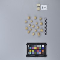 CIP760457_HHA 6611_T.JPG