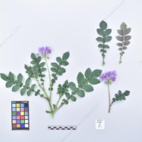 CIP 761157_OCH 10977_buk_H_2024.jpg