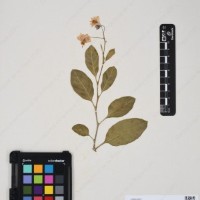 CIP 761353_OCH 11929_07.jpg