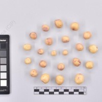 CIP 761845_OCH 13856_buk_T_2024.jpg