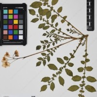 CIP 760001_OCH 37_06.jpg