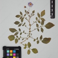 CIP 760428_HHA 6468_06.jpg