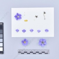 CIP 761843_OCH 13854_buk_F_2024.jpg