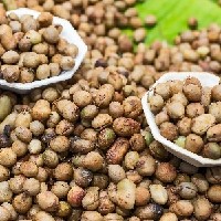 Copy of AdobeStock_187420341 (1)-bambarra.jpeg