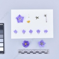 CIP 761538_OCHS 13194_buk_F_2024.jpg