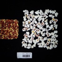 Popped and not popped comparison labeled.jpg