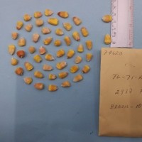 CIMMYTMA 7462 - Reference inventory.jpg