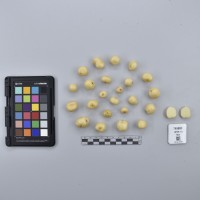 CIP765891_RPSP 213_T.JPG