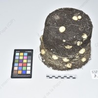 CIP 761786_OCH 13753_rap_Tb_2024.jpg