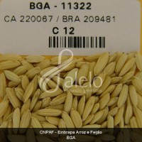 BRA00008657-9.JPG