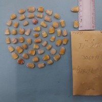 CIMMYTMA 7473 - Reference inventory.jpg