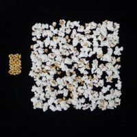 Popped and not popped comparison.jpg