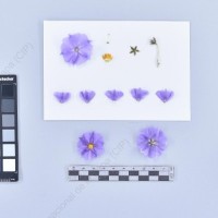 CIP 761831_OCH 13830_buk_F_2024.jpg