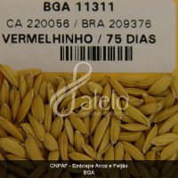 BRA00008646-2.JPG