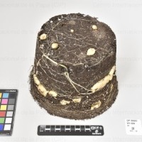 CIP 764062_SPV 6339_oti_Tb(i).jpg