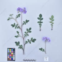 CIP 761833_OCH 13832_buk_H_2024.jpg