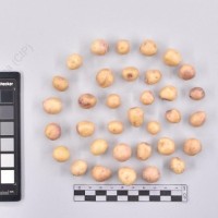 CIP 761843_OCH 13854_buk_T_2024.jpg