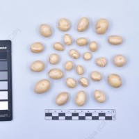 CIP 761104_FB 5080_cmm_T_2024.jpg