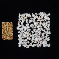 Popped and not popped comparison.jpg