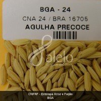 BRA00000012-5.JPG