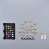 CIP760010_OCH S21_T.JPG