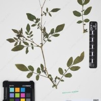 CIP 762631_OCHS 12596_14.jpg