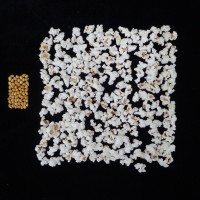 Popped and not popped comparison.JPG