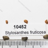 10452.jpg