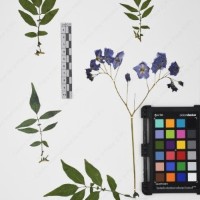 CIP 765693_RPSP 004_15.jpg